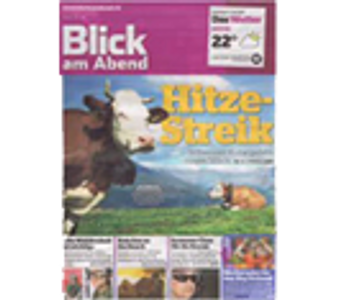 Newspaper